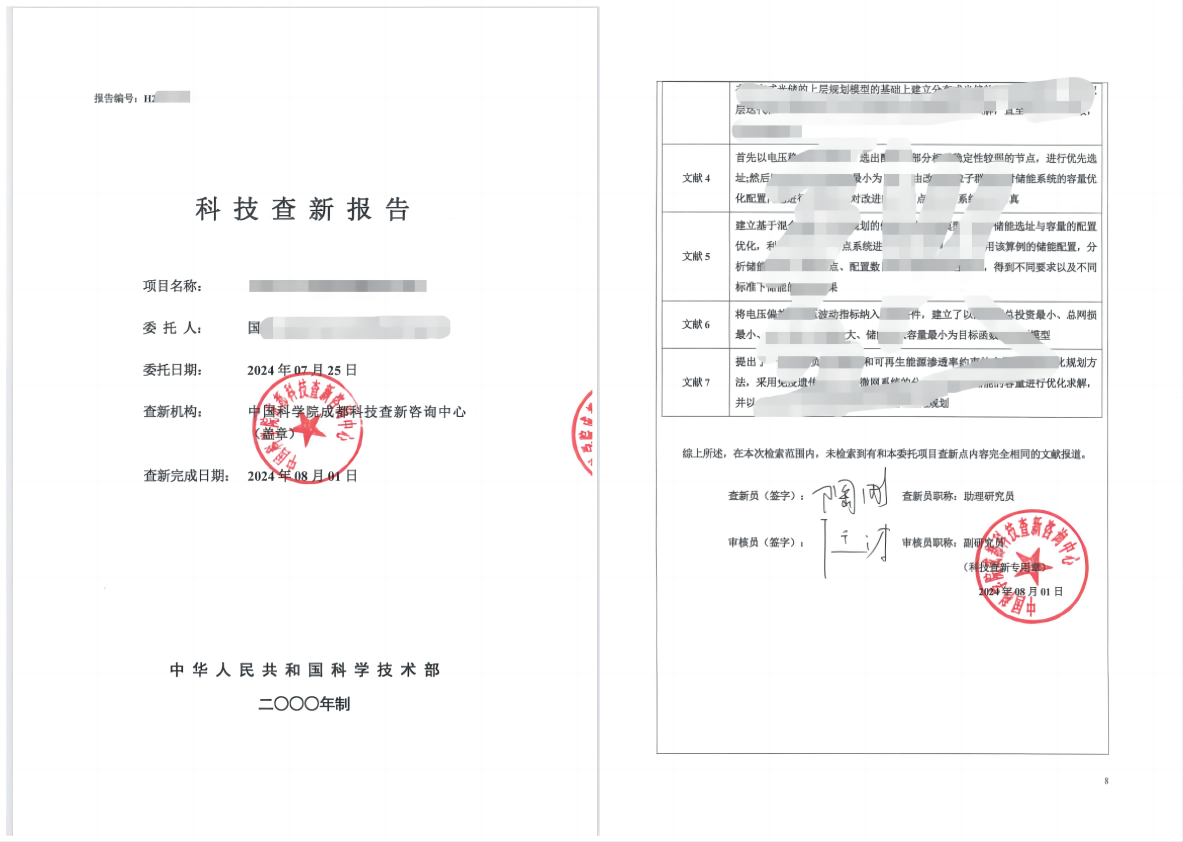 科技查新报告3